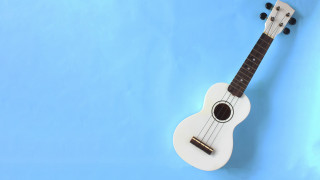Ukulele blue white fretboard minimalism - solo free wallpaper