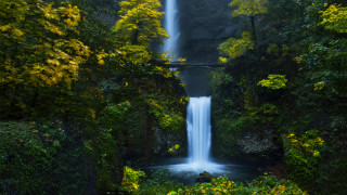 Waterfall bridge forest person night - the side of the waterfall free wallpaper