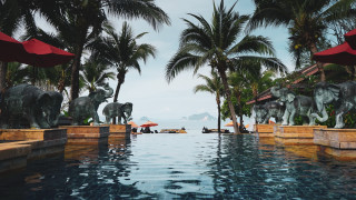 Pool elephants statues palm trees - a pool free wallpaper