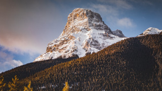 Mountain snow peak trees sunset - a snow free wallpaper