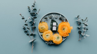 Plate flowers perfume blue leaves - evaline ness free wallpaper