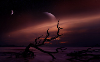 Moon water tree purple sky - dark atmosphere free wallpaper
