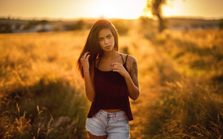 Woman field sunset wind blurry - tall grass free wallpaper