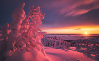 Sunset snowy mountain tree orange - a sunset over a snowy mountain free wallpaper