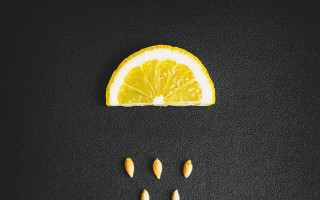 Orange slice lemon nuts black - a lemon free wallpaper