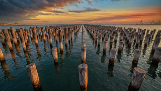 Sunset water cityscape bridge reflection - wooden post free wallpaper