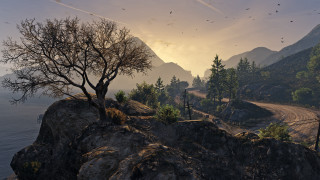 Bare tree cliff overlooking mountains - anthony s waters free wallpaper