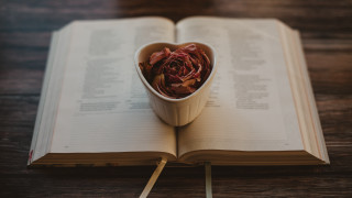 Book flower tea matchstick roses - a page free wallpaper