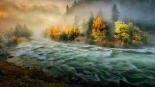 River fog trees autumn campfire - mist free wallpaper
