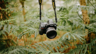 Camera tree forest lens blurry - a len free wallpaper
