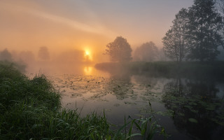 Foggy lake sunset trees leaves - a foggy lake free wallpaper