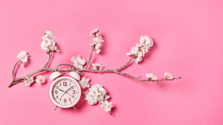 Clock branch flowers pink background - product photography free wallpaper for desktop