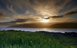 Sunset mountain water grass flowers - david paton free wallpaper