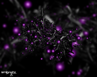Black purple plant bokeh lights - particle free wallpaper