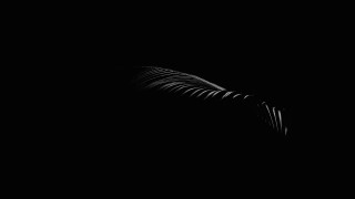 Leaf night light bedwyr williams - the dark night sky free wallpaper