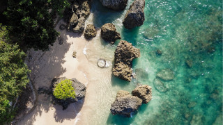 Beach rocks water forest landart - art free wallpaper for desktop