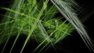 Bamboo forest nature night particles - thin free wallpaper