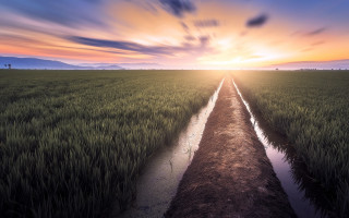 Dirt road sunset stream grass - a dirt road in a field free wallpaper