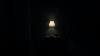 Lamp lit dark room dog - a lamp free wallpaper