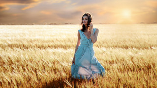Woman blue dress field wheat - the sun shining behind her free wallpaper