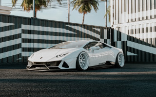 White sports car palm trees - palm tree free wallpaper