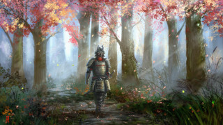 Armor forest path autumn sunset - a path free wallpaper
