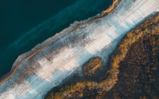 Aerial beach water shore trees - the shore free wallpaper