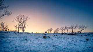 Snowy field trees sunset mountains - sunset free wallpaper