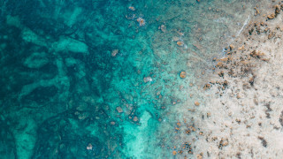 Ocean rocks algae plane microscopic - a view of a body free wallpaper
