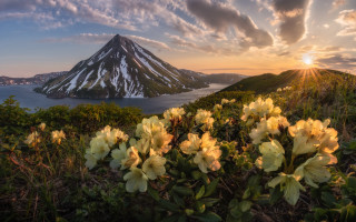 Mountain lake flowers sunset clouds - the foreground and a snow free wallpaper