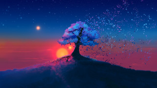 Tree hill sunset stars aurora 2 - anton fadeev free wallpaper