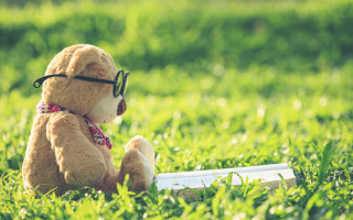 Teddy bear glasses reading in - a teddy bear free wallpaper