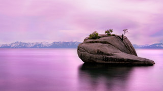 Rock plant lake mountains surreal - beautiful landscape free wallpaper