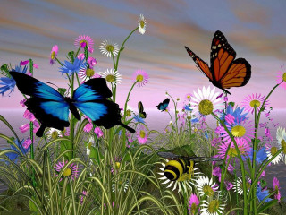 Field flowers butterflies sunset pink - butterfly free wallpaper