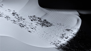Brush black dots white surface - a brush free wallpaper