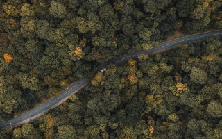 Winding road forest car truck - forest free wallpaper