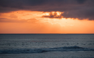 Sunset ocean boat birds sky - a sunset over the ocean free wallpaper