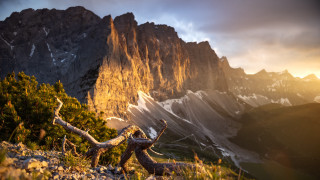 Mountain tree sunset city fire - free gaming wallpaper