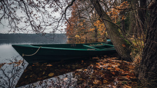 Green boat water tree autumn - near free wallpaper for desktop