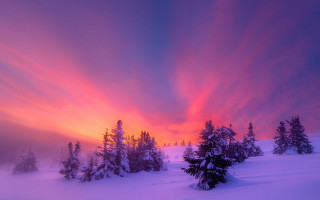 Sunset snowy mountain trees pink - a sunset over a snowy mountain free wallpaper