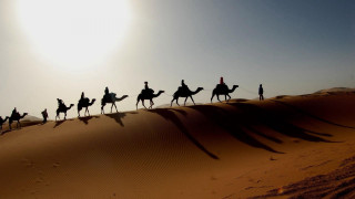 Camel riders desert group adventure - amir zand free wallpaper