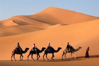 Camel riders desert group adventure 3 - les nabis free wallpaper