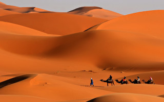 Camel riders desert landscape sahara - farid mansour free wallpaper