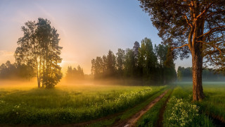Sunset dirtroad trees lake mountain - andrey ryabovichev free wallpaper