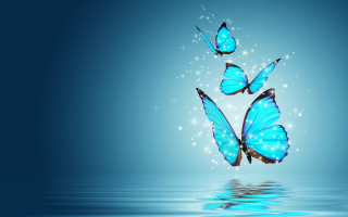 Three blue butterflies flying over - over water free wallpaper