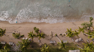Beach people trees water tiltshift - tilt shift free wallpaper