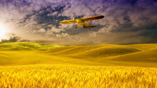 Plane wheat field cloudy sky - a sunbeam in the background free wallpaper