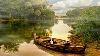 Boat shore lake trees foggy - the shore of a lake free wallpaper