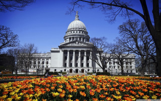 Dome building field flowers trees 2 - photograph free wallpaper