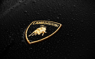 Lamb logo water droplets gold - correggio free wallpaper